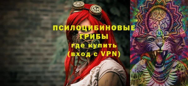 мяу мяу мука Алзамай